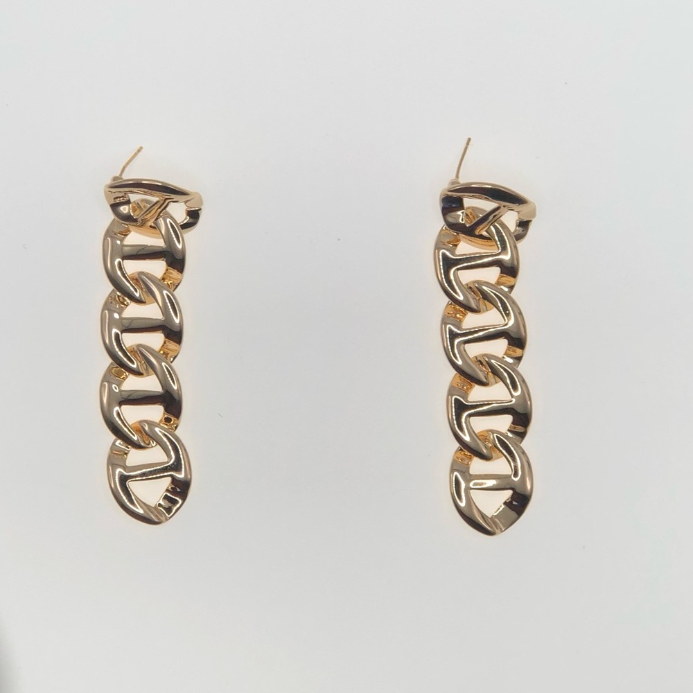 Chunky Link Earrings